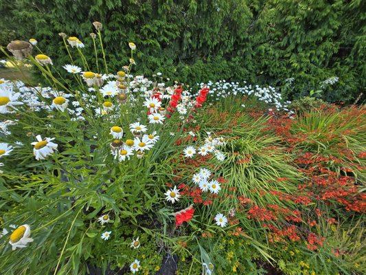 Royal Oaks Country Club