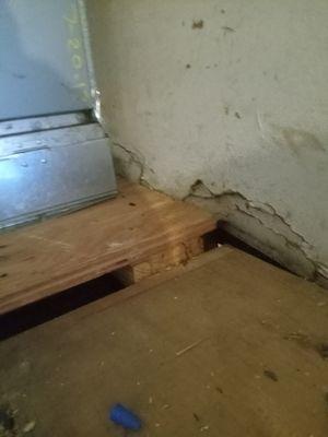 CW Sparks Management