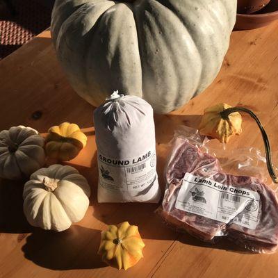 Pure Pasture Farms Store