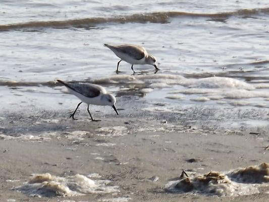 Seacoast Wedding Chapel and Ballroom