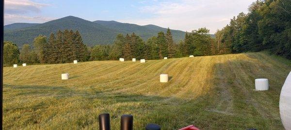 Round Bales wrapped for sale and storage.