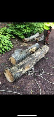 Castro Landscaping