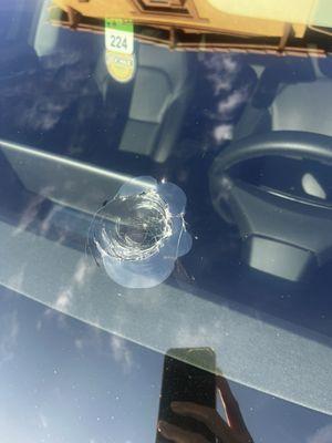 Shattered windshield