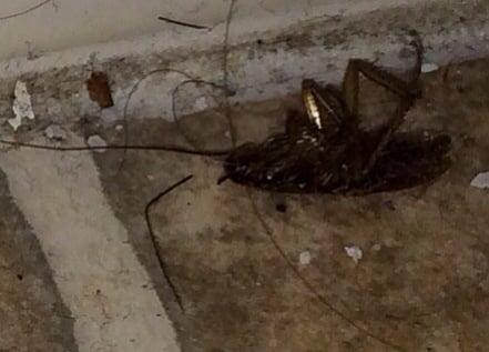 The Summit At Hilltop