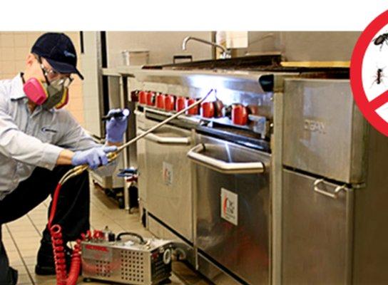 Clever Pest Solutions