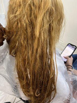 LaVish Hairsalon & Spa