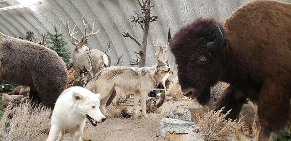 Wind River Heritage Center