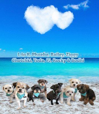 KTA Super Stores - Kailua-Kona