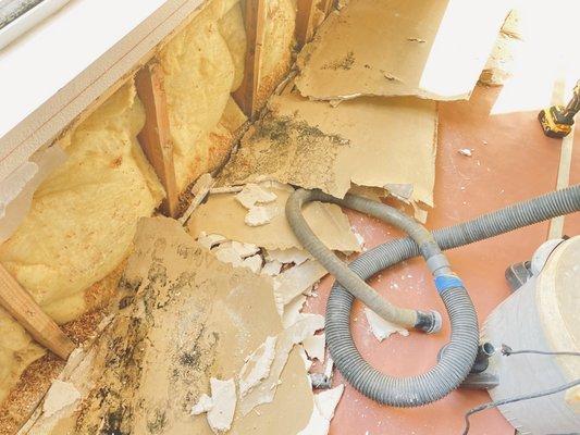 Handyman Painting Orange County