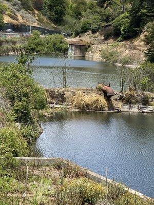 Laguna Honda Reservoir