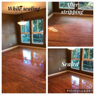 Professional Carpet & Upholstery Cleaning