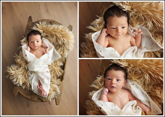 Jessica Higgins Photography