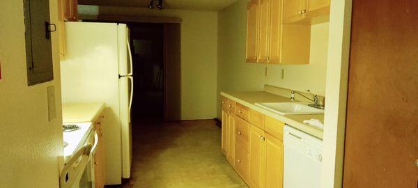 Dirty Duck Cleaning Services