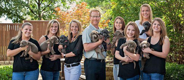 Mark S Ozier, DDS