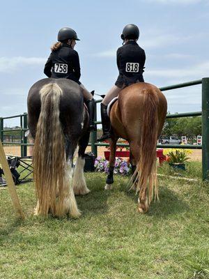 Blueberry Creek Stables