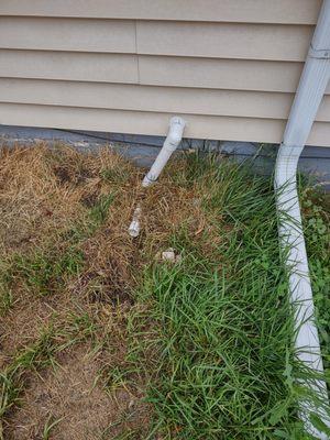 LR Stephens Services