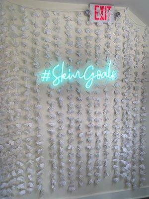 Springhouse dermatology