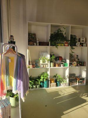 Out on a Limb Boutique