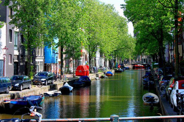 Viking Travel - Naperville