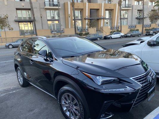 2022 Lexus NX like I'm black