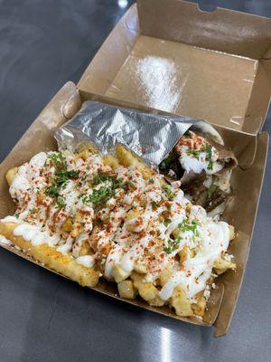 Greek Fries and Gyro sandwich