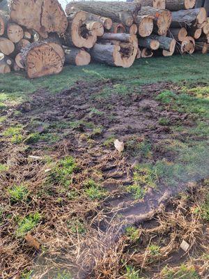 Paradise Landscaping & Tree Removal