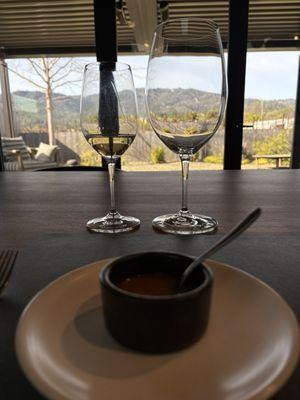 Our view of the vineyards and mountains in the distance while we enjoyed our tasting.