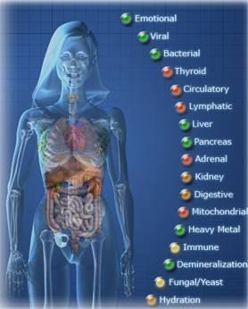 Take care of your Body you only have one!!