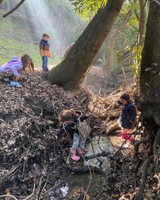 Story Garden Preschool