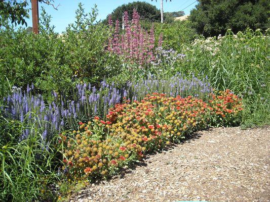 Home Ground Habitats