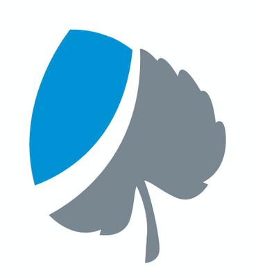 Aspen iTech Consulting