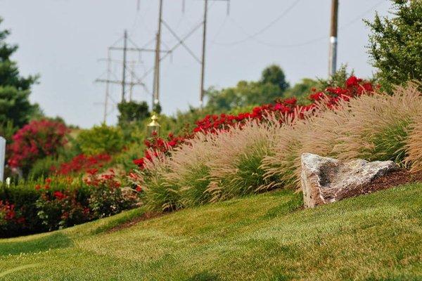 Poole Landscaping