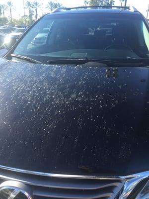 This is how it still looked after the car wash. $11 wasted