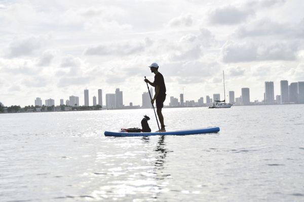 Shoreside Club - Paddle Board Rentals