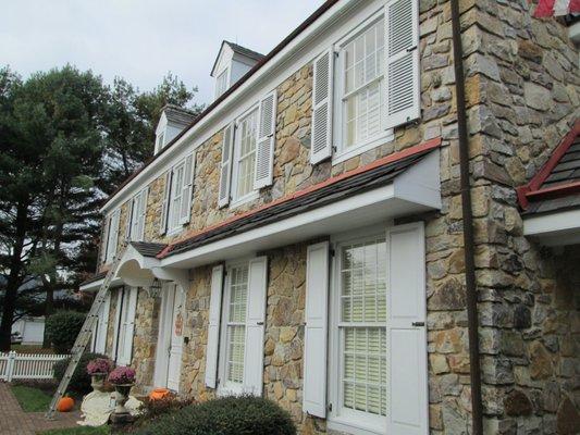 Ray August Painting and Wall Paper