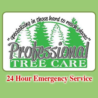 Professional Tree Care