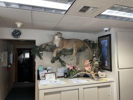 Benny's Colville Inn