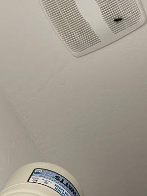 Hampton East Apartments