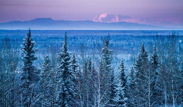 Denali as seen from outside the lodge.