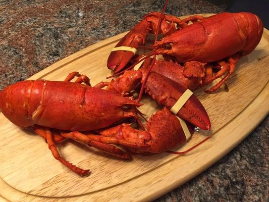 Hello, my beauties! :)