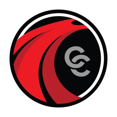 Crash Champions LUXE | EV Belleview