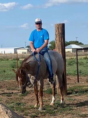 Bockholt Horseshoeing