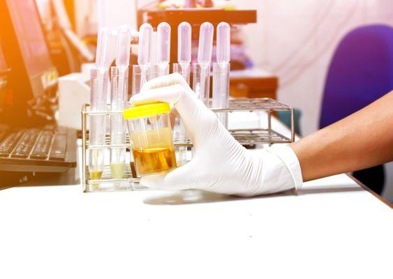 Specisure Lab Solutions