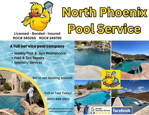 North Phoenix Pool Service