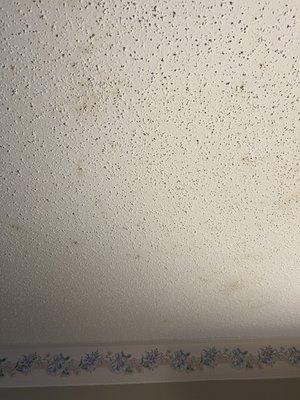 Country Inn Deerwood