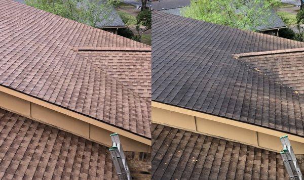 Clear Peak Roof Cleaning