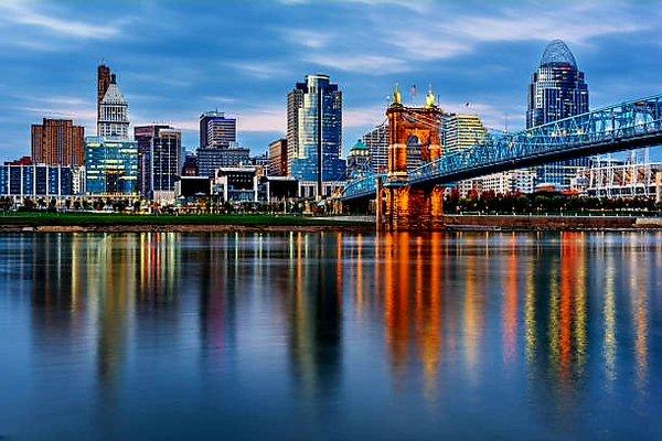 Elevated Cleanup Services