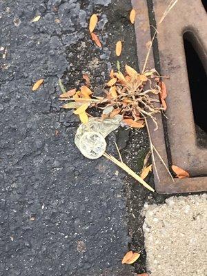 The parking lot of the sub par hotel sums up the hotel adequately