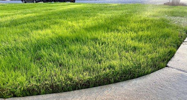 Agronomic Lawn Management