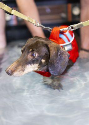 Underwater treadmill